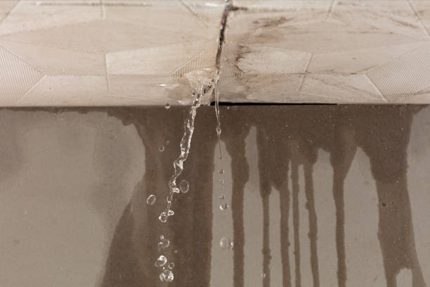 Professional Water Damage Restoration technician working in Rochelle Park, NJ